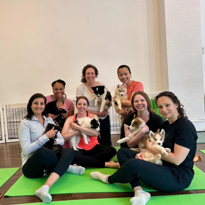 Group photo of the UAB Division of Breast & Endocrine Surgery with puppies in yoga class