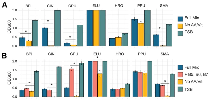 Fig. 2.
Growth of synthetic community species in 0.5× Murashige and Skoog, glucose, and malate augmented with additional amino acids and vitamins (n = 3).