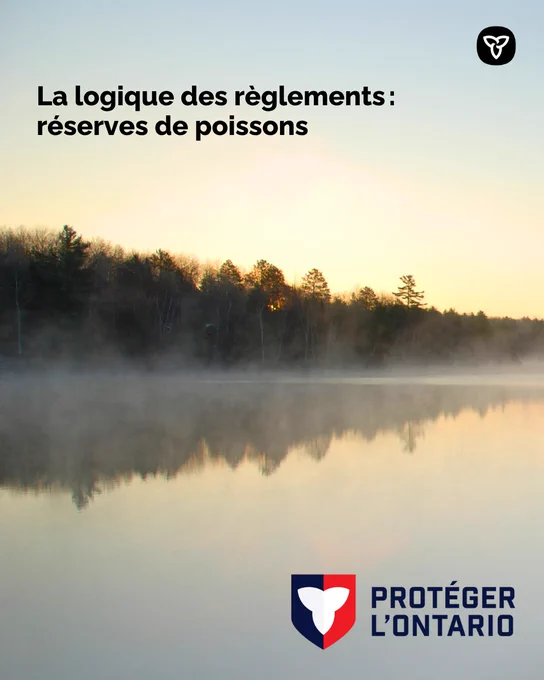 Lever de soleil sur un lac embrumé. Le texte dit : « La logique des règlements : réserves de poissons ». 