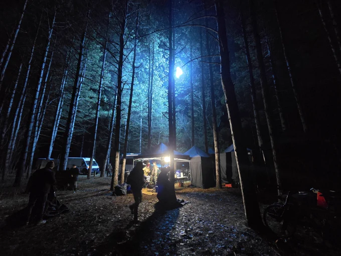 A forest at night with lights, tents, and people.