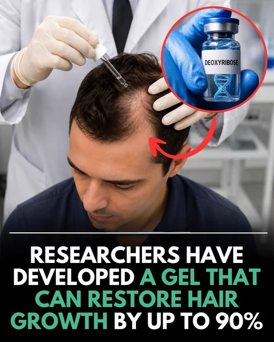 SCIENTISTS DISCOVERED A DNA SUGAR THAT MAY REGROW HAIR 
A natural sugar found in DNA called deoxyribose is shocking researchers after experimental studies showed major hair regrowth. Instead of changing hormones, the gel helps improve blood flow and oxygen around hair follicles — possibly “waking up” dormant hairs naturally.
Scientists say the results were comparable to Minoxidil in animal studies, and the discovery could change the future of hair-loss treatment. Human testing is still needed… but this tiny molecule is already creating huge excitement in the medical world.
Source
Muhammad, N., et al. A naturally occurring deoxyribose sugar promotes angiogenesis and hair regrowth in an animal model of androgenic alopecia. Frontiers in Pharmacology.