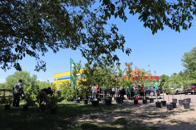 tree trust program giveaway