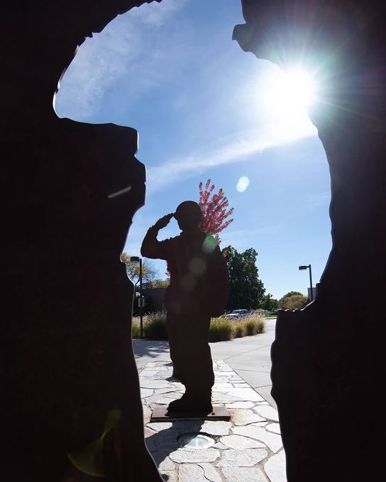 "Salute" 2008 art installation by Kay Kirkpatrick in the sun near the student union building. 
