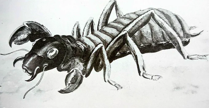 Early concept art for the Meganulon from 「Rodan」, based on a mole cricket. The final design was instead based on a dragonfly nymph.