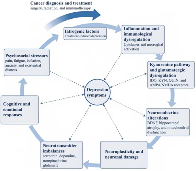 Hajivalizadeh et al., Cancer Reports, 2026; https://doi.org/10.1002/cnr2.70587