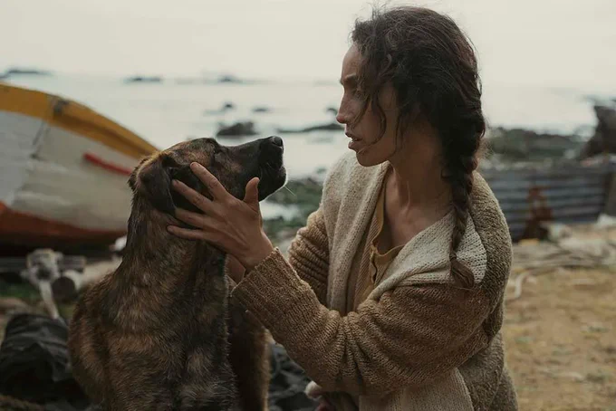 la perra dog award