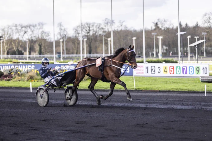 Photo: Bruno Vandevelde - Letrot