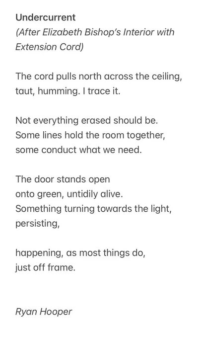 Undercurrent
(After Elizabeth Bishop’s Interior with Extension Cord)

The cord pulls north across the ceiling,
taut, humming. I trace it.

Not everything erased should be.
Some lines hold the room together,
some conduct what we need.

The door stands open
onto green, untidily alive.
Something turning towards the light,
persisting,

happening, as most things do,
just off frame.