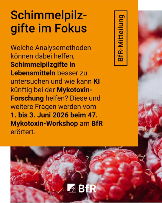 Schimmelpilzgifte im Fokus. Welche Analysemethoden können dabei helfen, Schimmelpilzgifte in Lebensmitteln besser zu untersuchen und wie kann KI künftig bei der Mykotoxin-Forschung helfen? Diese und weitere Fragen werden vom 1. bis 3. Juni 2026 beim 47. Mykotoxin-Workshop am BfR erörtert.