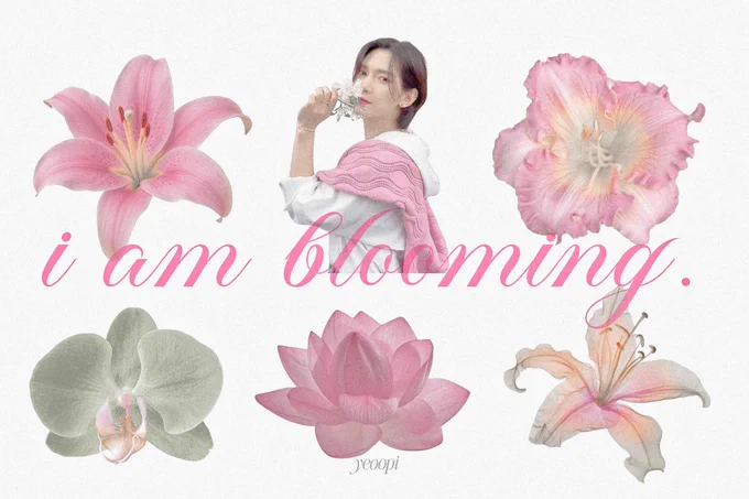 yeosang is a beautiful flower. 
