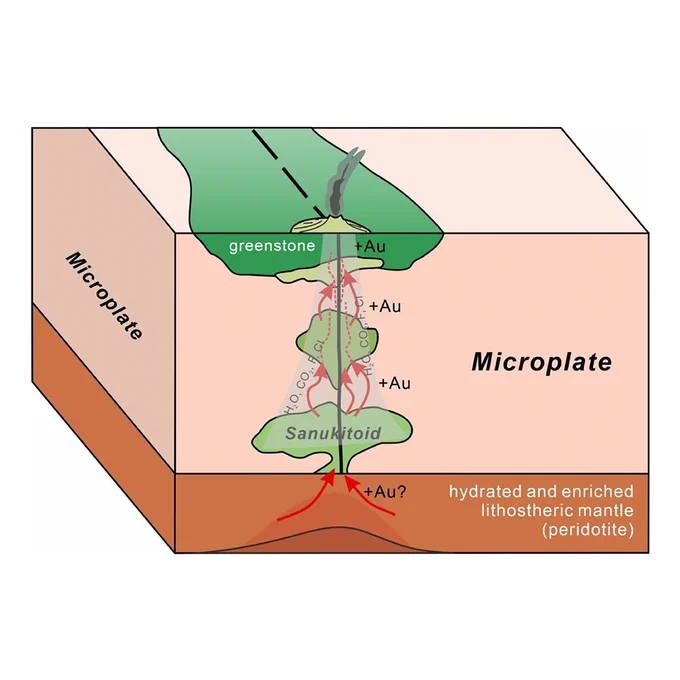 Late Neoarchean sanukitoids in the North China Craton: A geodynamic perspective 
