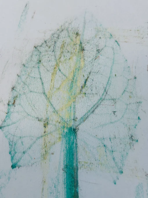 Crayon leaf rubbing by a 5 year old.