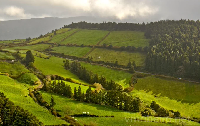 Paisagem rural com colinas verdes, campos divididos por sebes e árvores, zonas de floresta densa e pastagens com animais. Estrada estreita a atravessar a cena, com alguns veículos visíveis. Luz filtrada por nuvens.