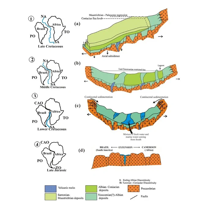 First evidence of Campanian-Maastrichtian shallow marine deposits from eastern Atlantic margin (Doualasub-basin, Cameroon): Palynological and sedimentological approaches
