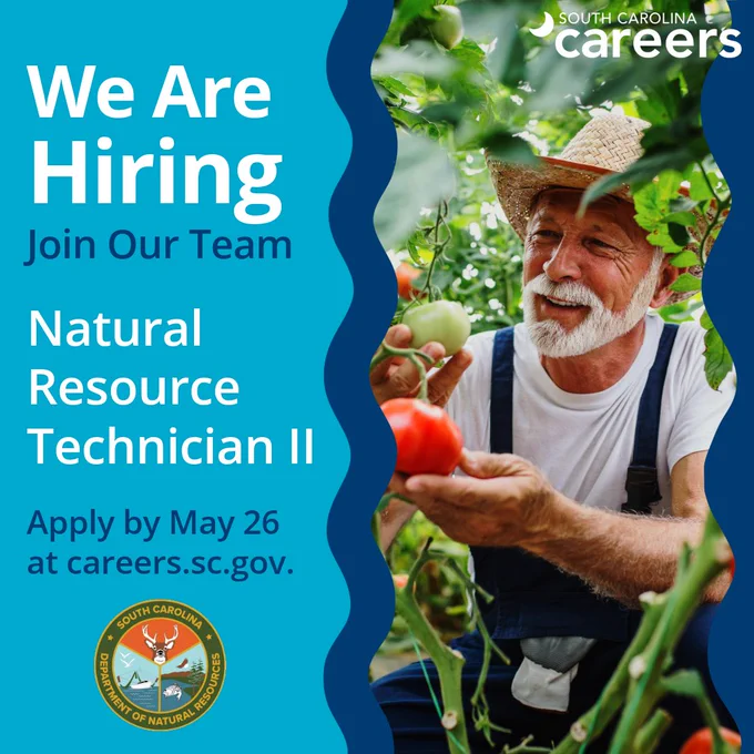 Graphic advertising that the South Carolina Department of Natural Resources is hiring for a Natural Resource Technician II. Apply by May 26 at careers.sc.gov.