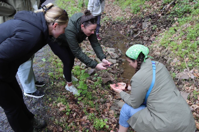 Three people gathered around looking at a salamander outside. 
