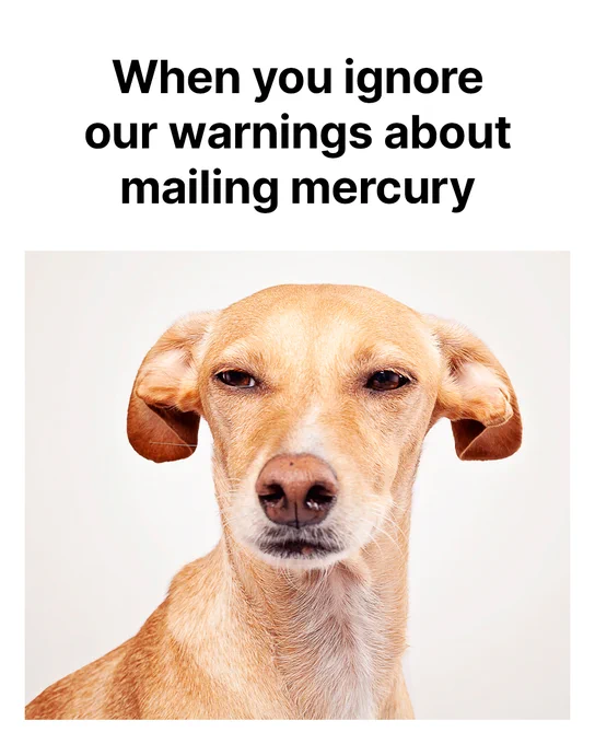 A photo of a mixed breed yellow dog squinting with the text “When you ignore our warnings about mailing mercury.”