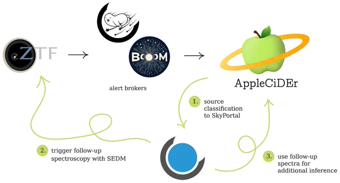 Graphical representation of AppleCiDEr's role in the planned ZTF production pipeline.  From Junell etal (2026).