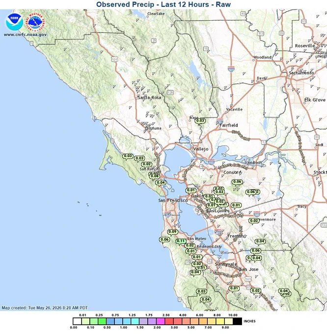 A National Weather Service regional map showing observed 12-hour raw precipitation totals for the San Francisco Bay Area and North Bay, created on Tuesday, May 26, 2026, at 8:28 AM PDT. The map features a light green terrain background overlaid with dozens of small, circular green data bubbles containing rain totals in inches. Most numbers throughout the North Bay, East Bay, and South Bay range from 0.01 to 0.06 inches. The highest totals are clustered along the San Francisco Peninsula near San Mateo, showing values up to 0.09 and 0.11 inches. A precipitation scale is displayed at the bottom, indicating all totals are under a quarter of an inch.