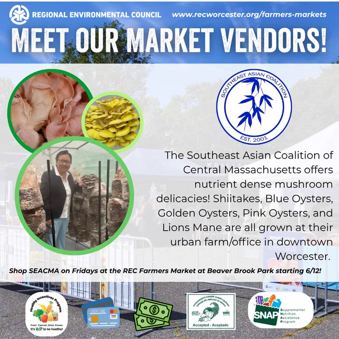 Meet our Market Vendors - The Southeast Asian Coalition of Central Massachusetts offers nutrient dense mushroom delicacies! Shiitakes, Blue Oysters, Golden Oysters, Pink Oysters, and Lions Mane are all grown at their urban farm/office in downtown Worcester. Shop SEACMA on Fridays at the REC Farmers Market at Beaver Brook Park starting 6/12! REC farmers markets accept SNAP, card, cash, senior/wic coupons, & HIP. Learn More at www.recworcester.org/farmers-markets.