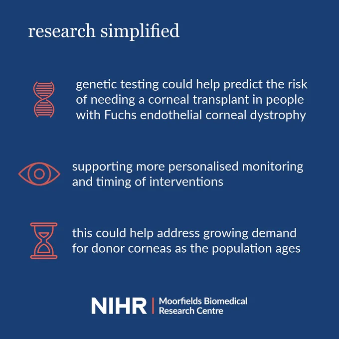 Graphic with a dark blue background titled “research simplified.” It explains that genetic testing could help predict the risk of needing a corneal transplant in people with Fuchs endothelial corneal dystrophy, support more personalised monitoring and timing of interventions, and help address growing demand for donor corneas as the population ages. The graphic includes simple icons of a DNA strand, an eye, and an hourglass, and features the NIHR Moorfields Biomedical Research Centre logo at the bottom.