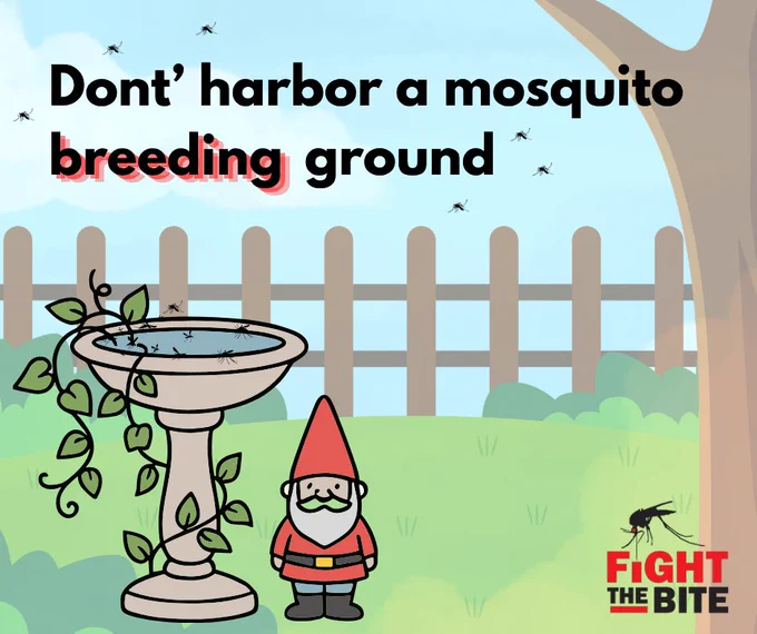 Backyard scene with a birdbath full of water and mosquitoes flying around, warning against mosquito breeding grounds.
