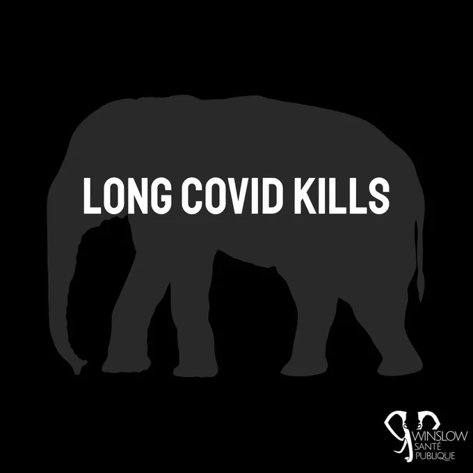 Black éléphant walking in the dark. In white : « long Covid Kills »