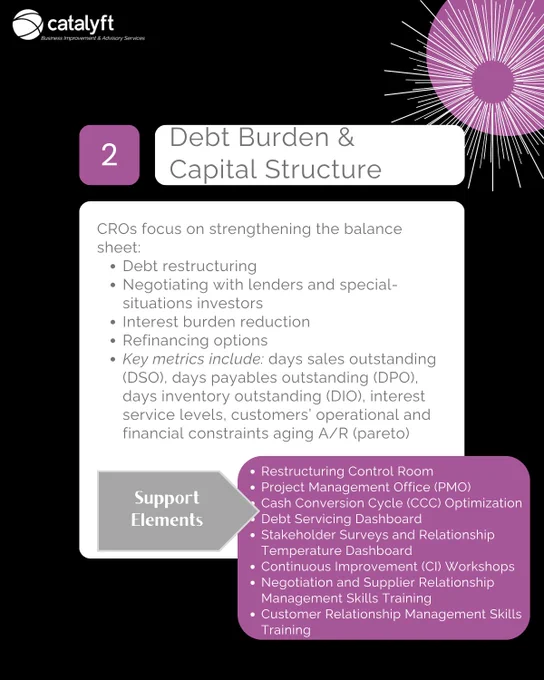 CRO CONCERNS | Debt Burden and Capital Structure