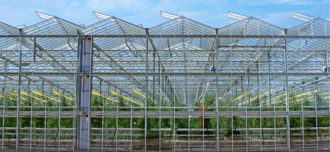 A large, modern greenhouse with a glass structure, filled with rows of plants. Sunlight filters through the clear roof, and the sky is bright with a few clouds.