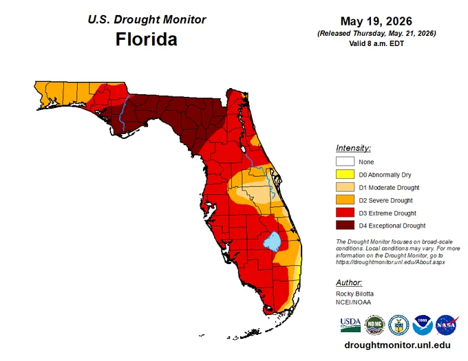 The U.S. Drought Monitor, valid May 19, depicts a 74.61% coverage of extreme (D3) to exceptional (D4) drought for Florida. 
