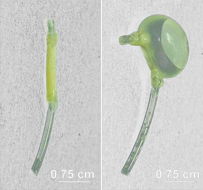 Two small medical devices are displayed against a black background. The left device is a straight, cylindrical tube with a yellow section and clear ends. The right device has a disc-like shape at the top with a small tube extending downward. Both devices have labels indicating a size of 0.75 cm.