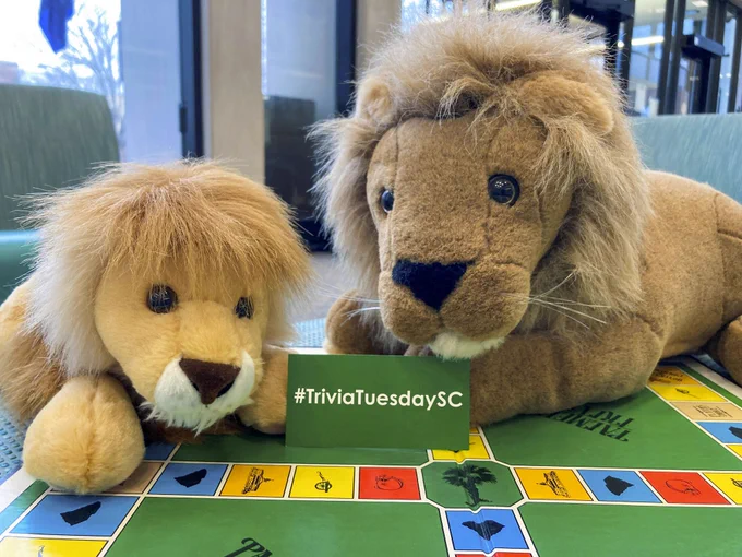 The lions Sol and Edgar are playing a South Carolina Trivia board game.