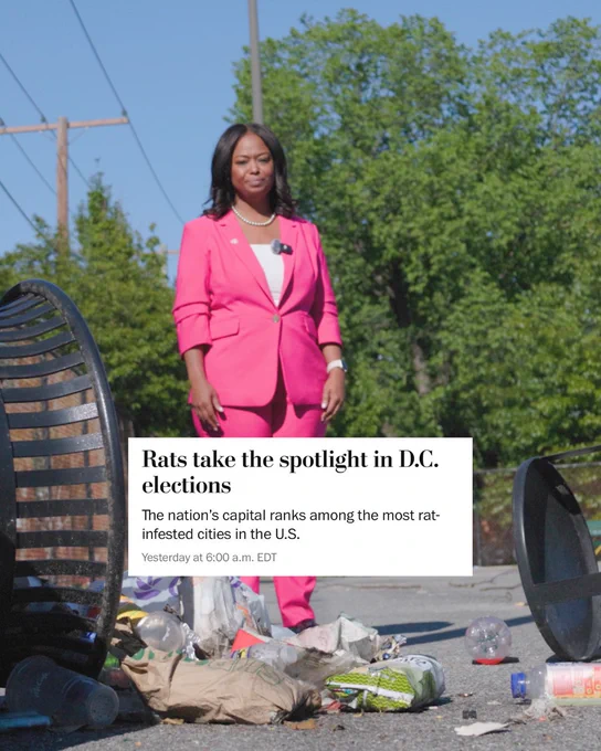 Rats take the spotlight in DC elections article by the Washington post. Janeese standing behind a trash bin that has fallen over.