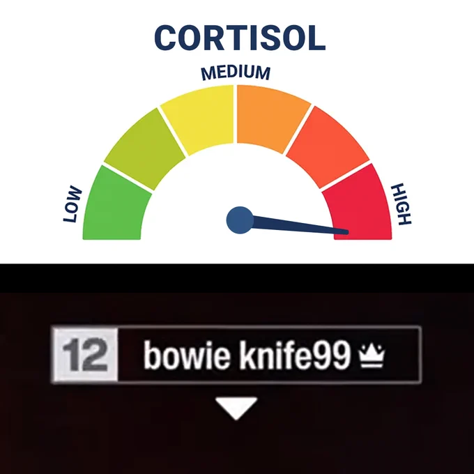 The top of the image show a Cortisol meter reading as High. The bottom of the image shows the gamertag of the CPU from Forza Horizon 6 named bowie knife99