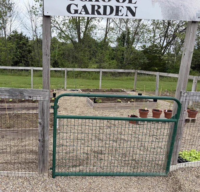 ffa