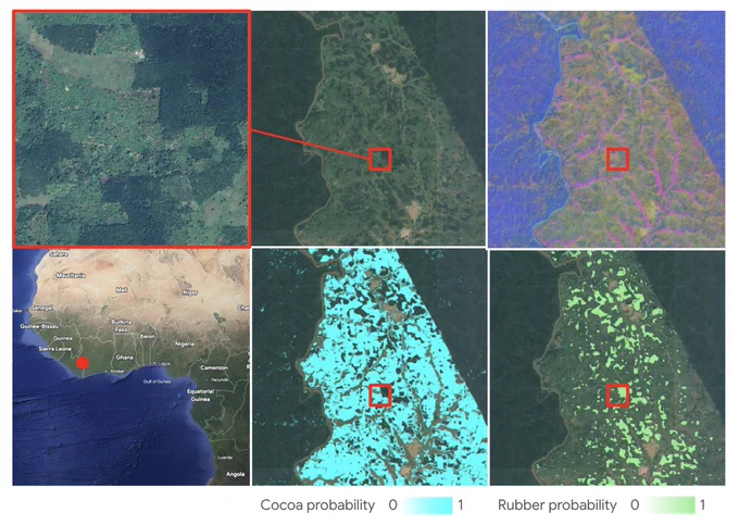 Six panels display satellite imagery and maps of a West African region, with a red dot on a map of the Ivory Coast/Ghana area indicating the location. The top panels show zoomed-in, natural-color, and false-color views of a forested landscape, while the bottom panels show "Cocoa probability" in cyan and "Rubber probability" in green. A red square across several panels highlights a specific area where these different layers of data are compared.