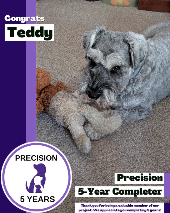 A decorative image of a grey schnauzer dog lies on a tan carpet next to a plush toy with tan legs with text that reads, "Precision 5-Year Completer." Thank you for being a valuable member of our project. We appreciate you completing 5 years!