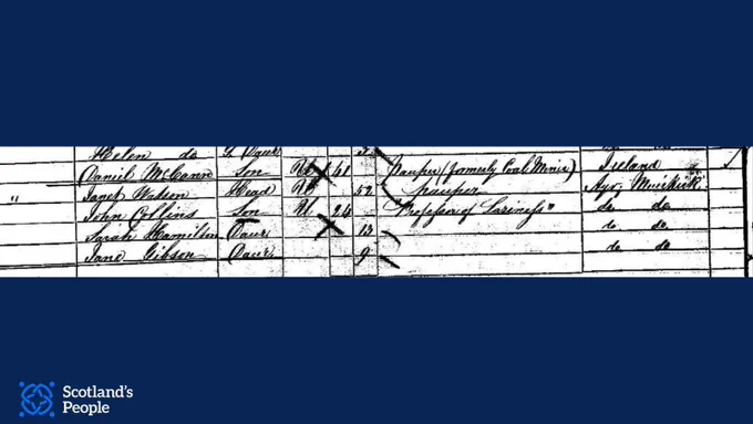 Census entry for a family where the heads of the household are listed as paupers, and the members all have different surnames. The profession given for “son” John Collins is “professor of laziness”.