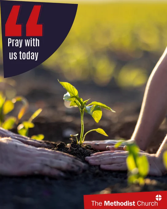 Photo of hands planting a seed in the ground. Methodist logo in the lower right corner and text which reads 'pray with us today' in the upper left.