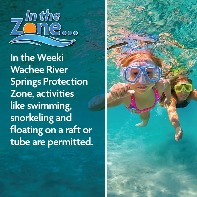 An educational graphic split vertically into two halves against a backdrop of clear turquoise water. On the left side, a stylized logo reads "In the Zone..." above a paragraph of bold white text: "In the Weeki Wachee River Springs Protection Zone, activities like swimming, snorkeling and floating on a raft or tube are permitted." On the right side, a young girl wearing a snorkeling mask swims underwater toward the camera, with another swimmer visible just behind her.