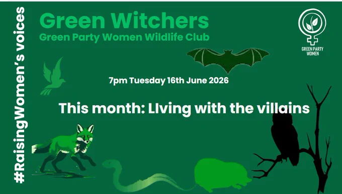 The graphic has a green backgrounds with graphics of a bat, a dove, a fox, a snake, a hedgehog and an owl.
In white lettering: Green Witchers , Green Party Women Wildlife Club 
7pm Tuesday 16 June 2026
This month: Living with the villains
#RaisingWomen’sVoices