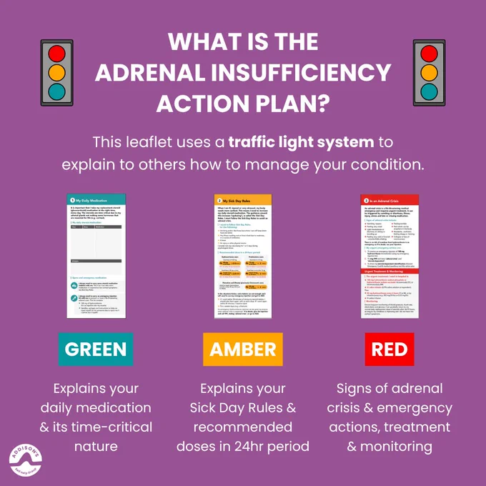 Purple graphic titled “WHAT IS THE ADRENAL INSUFFICIENCY ACTION PLAN?” in large white capital letters at the top centre. Small traffic light illustrations appear on the left and right sides of the heading.

Below, white text explains: “This leaflet uses a traffic light system to explain to others how to manage your condition.”

The graphic is divided into three colour-coded sections. Above each section is a small image of a page from the Adrenal Insufficiency Action Plan, and underneath is a coloured label with explanatory text.

The first section has a teal “GREEN” label and states: “Explains your daily medication & its time-critical nature.”

The second section has an amber “AMBER” label and states: “Explains your Sick Day Rules & recommended doses in 24hr period.”

The third section has a red “RED” label and states: “Signs of adrenal crisis & emergency actions, treatment & monitoring.”

The Addison’s Disease Self-Help Group logo appears in white at the bottom left corner.