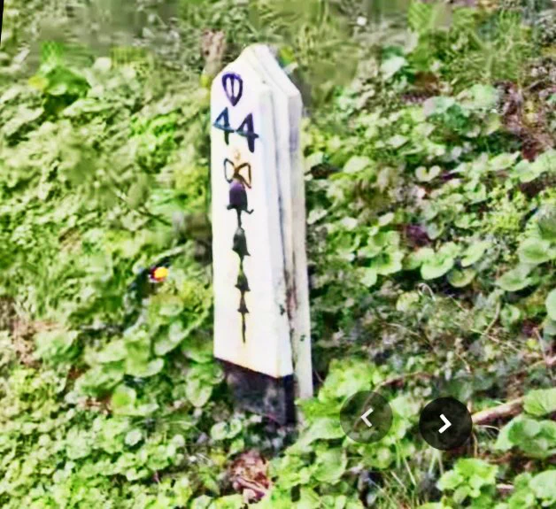 Google Maps Street View images.