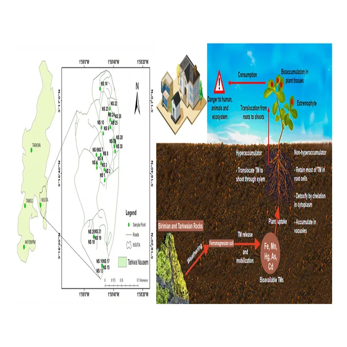 Spatial distribution and source apportionment of potentially toxic elements in residential soil from Nsuta, a typical manganese mine community in Tarkwa, Southwestern Ghana
