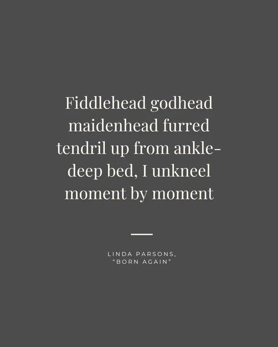 White text on a dark-gray background: Fiddlehead godhead maidenhead furred tendril up from ankle-deep bed, I unkneel moment by moment. Linda Parsons, "Born Again"