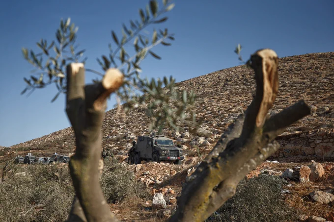 Activestills, Wahaj Bani Moufleh, Israeli settlers destroy olive trees, Abu Falah, 24.10.2025