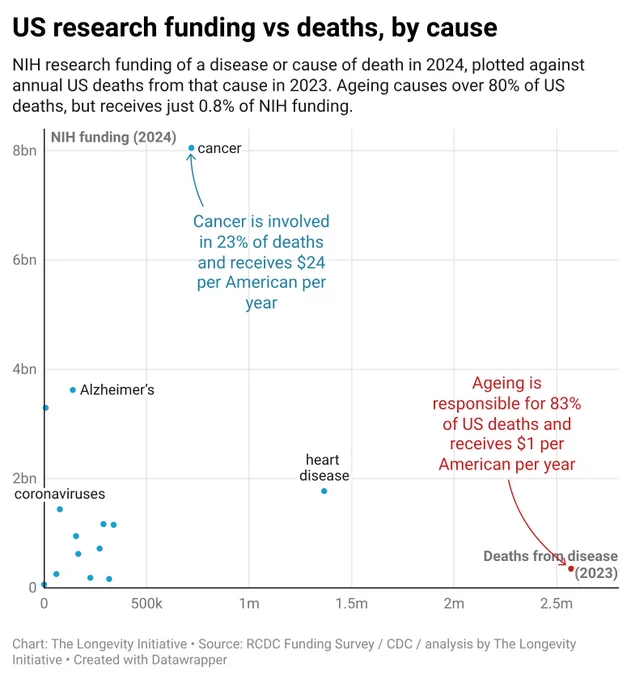Scatter plot titled "US research funding vs deaths, by cause". Subtitle: "NIH research funding of a disease or cause of death in 2024, plotted against annual US deaths from that cause in 2023. Ageing causes over 80% of US deaths, but receives just 0.8% of NIH funding."

The vertical axis shows NIH funding (2024), from 0 to $8bn. The horizontal axis shows deaths from disease (2023), from 0 to about 2.6m. Each point is a cause of death.

Most points cluster in the bottom-left corner, with low funding and low-to-moderate death counts. Cancer sits high up at roughly 720k deaths and just over $8bn in funding — the highest-funded point. Alzheimer's and coronaviruses sit high on the funding axis despite relatively few deaths. Heart disease sits low and to the right, at about 1.4m deaths but under $2bn in funding. Ageing is far to the right at around 2.6m deaths but near the very bottom of the funding axis, an extreme outlier showing huge mortality and almost no funding.