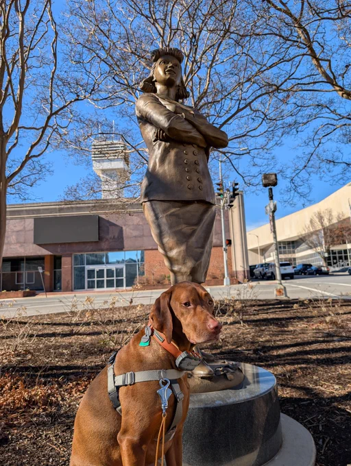 Vizsla dog Yonder seated in a city plaza at the base of a bronze statue of an African American woman in the late 1940s. She is wearing a skirt and blouse and is standing with her arms crossed, gazing outward.