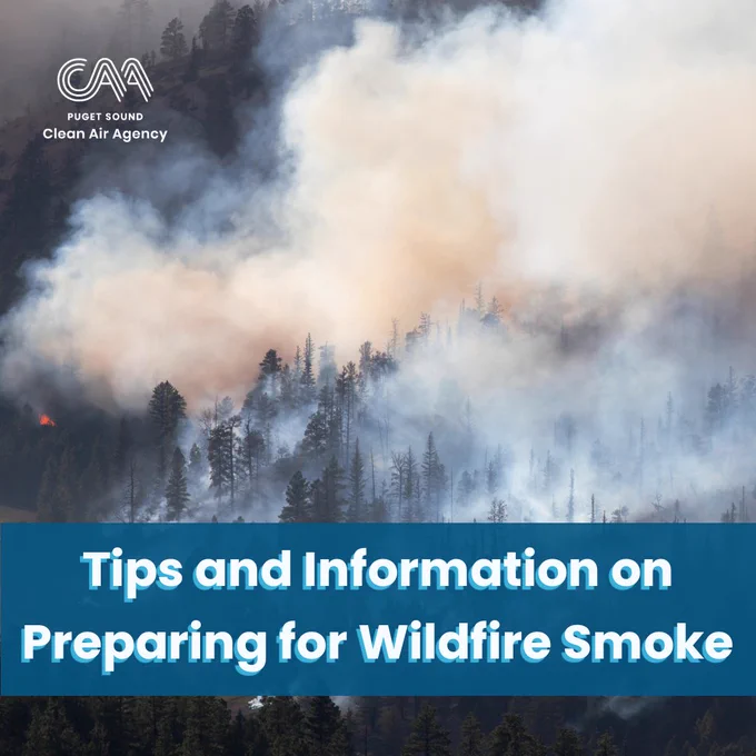 image of smoke from a wildfire with text saying tips and information on preparing for wildfire smoke