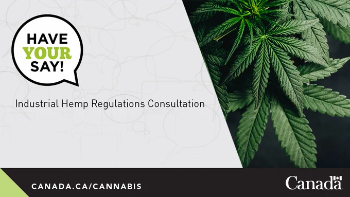 Cannabis leaves over a dark background. Text on image says industrial hemp regulations consultation.